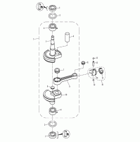 CRANKSHAFT & PISTON 2 Strocks For TC3.6